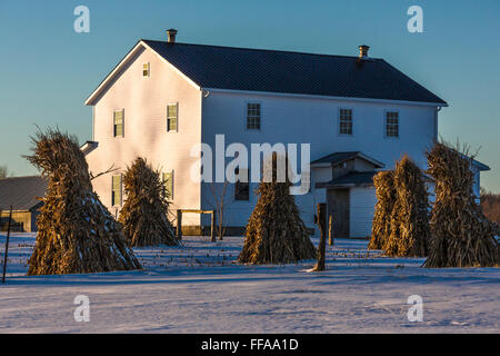 Mais-Schocks an einem Amish Bauernhaus im Winter im central Michigan in der Nähe von Stanwood, USA Stockfoto