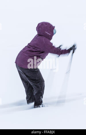 Karen Rentz Langlaufen im verschneiten Winter in central Michigan, USA Stockfoto