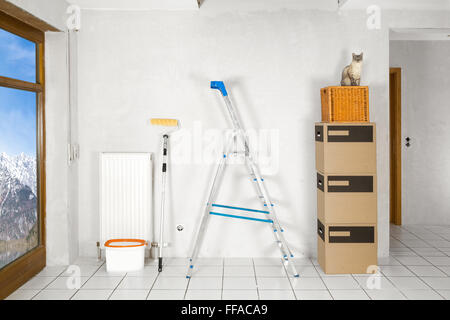 leere Wohnung mit Leiter-Boxen und Katze weitergehen Stockfoto