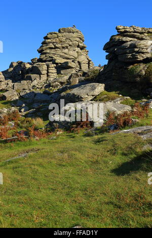Hound Tor mit Haytor im erreichbar, Dartmoor National Park, Devon, England. Stockfoto