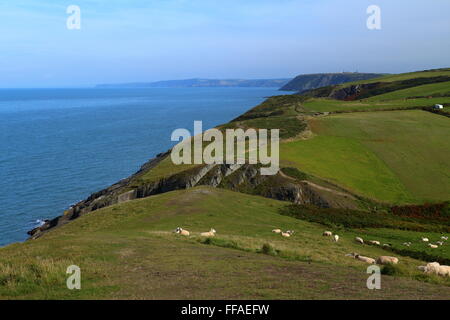 MWNT, kleine Gemeinde und alte Gemeinde im Süden Ceredigion, Wales, an der Küste West-Wales Stockfoto