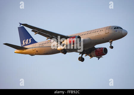 SAS, Flugzeug im Flug Stockfoto