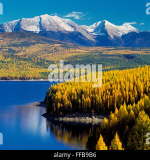 Hungry Horse Reservoir und Herbst Lärche unter großen nördlichen Berg und Berg Grant in der Nähe von hungrigen Pferd, montana Stockfoto