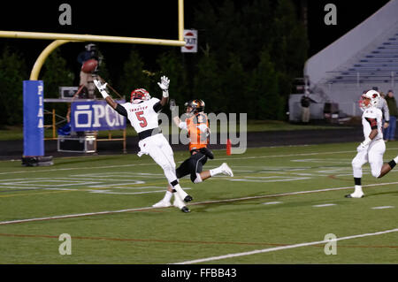 Imhotep Panthers schlagen Kathedrale Prep Ramblers 2016 PIAA AAA HS Football Staatsmeisterschaft im Hershey Park Stadium zu gewinnen. Stockfoto