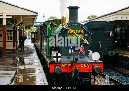 Golden Arrow an Sheffield Park station Stockfoto