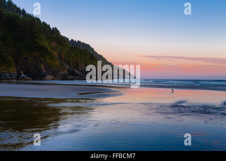 Heceta Head Beach befindet sich an der schönen Küste von Oregon bei Sonnenuntergang auf einer klaren Sommerabend in der Nähe von Dämmerung. Stockfoto