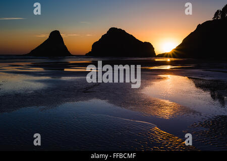 Heceta Head Beach befindet sich an der schönen Küste von Oregon bei Sonnenuntergang auf einer klaren Sommerabend in der Nähe von Dämmerung. Stockfoto