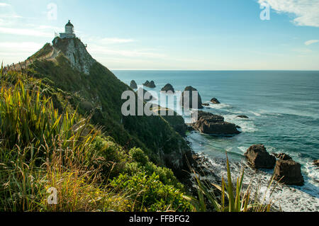 Nugget Point, der Catlins Süd Otago, Neuseeland Stockfoto