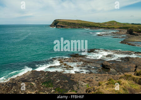 Curio Bay, die Catlins Süd Otago, Neuseeland Stockfoto