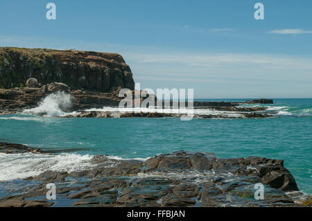 Curio Bay, die Catlins Süd Otago, Neuseeland Stockfoto