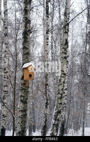Vögel-Haus auf der Birke im Schnee während des Winters Stockfoto