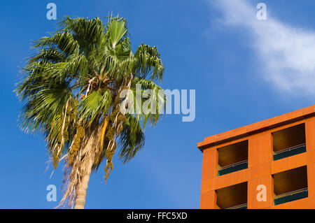 Palme und Appartementhaus gegen blauen Himmel, Immobilien-Konzept Stockfoto