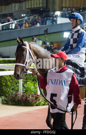 Meydan, 11. Februar 2016. Pat Dobbs reitet Polar Fluss UAE 1000 Guineen für Trainer Doug Watson in Meydan im Dubai WOrld Cup Carnival Kredit zu gewinnen: Tom Morgan/Alamy Live News Stockfoto