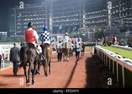 Meydan, 11. Februar 2016. Pat Dobbs reitet Polar Fluss UAE 1000 Guineen für Trainer Doug Watson in Meydan im Dubai WOrld Cup Carnival Kredit zu gewinnen: Tom Morgan/Alamy Live News Stockfoto