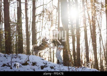 Mann zu Fuß mit husky Hunde im Winterwald Stockfoto