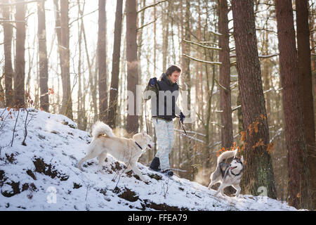 Mann zu Fuß mit husky Hunde im Winterwald Stockfoto