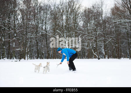 Der Mann spielt mit husky Welpen im Schnee Stockfoto