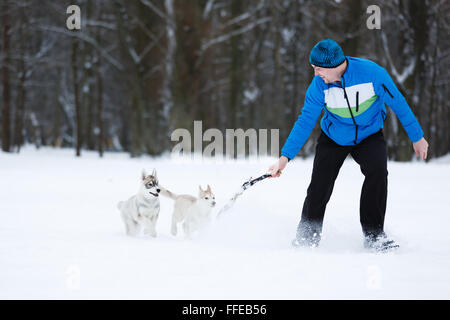 Der Mann spielt mit husky Welpen im Schnee Stockfoto