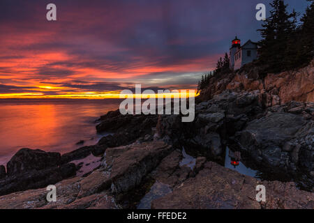 Das Wahrzeichen spiegelt sich Bass Harbor Head Lighthouse in einem Tidepool bei Sonnenuntergang im Acadia National Park, Mount Desert Island, Stockfoto