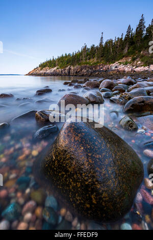 Felsen bei Ebbe an Jäger Strandbucht in Acadia Nationalpark, Mount Desert Island, Maine. Stockfoto