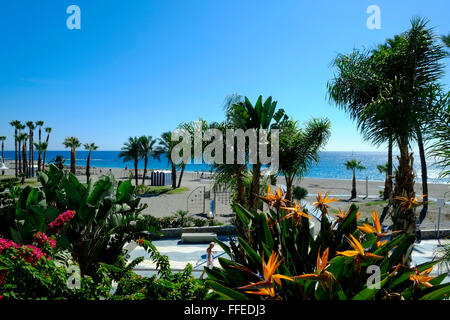 Esplanade, paseo Marítimo, Strandpromenade mit Palmen, Gärten und Blumen. Almuñécar, Provinz Granada, Costa Tropical, Andalusien. Spanien Stockfoto