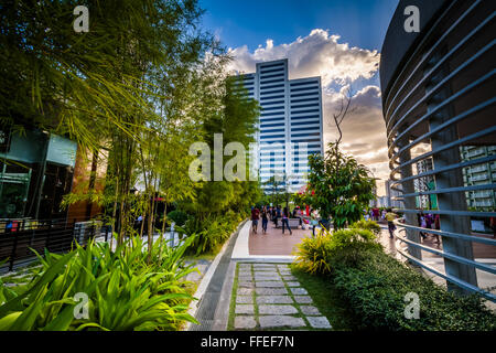 Garten und moderne Wolkenkratzer in Bonifacio Global City in Taguig, Metro Manila, Philippinen. Stockfoto