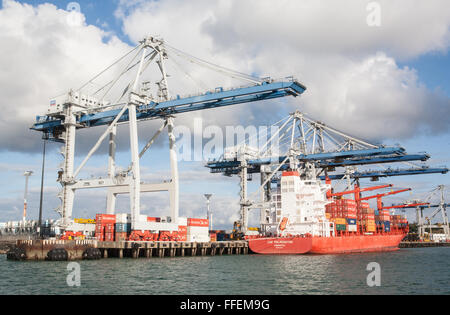 Containerschiffe am Fergusson Wharf, Hafen von Auckland, Neuseeland. Stockfoto