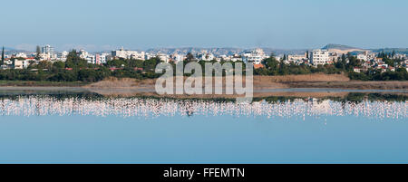 Panoramablick über die Stadt Larnaka in Zypern mit Flamingo Vögel im Salzsee. Stockfoto