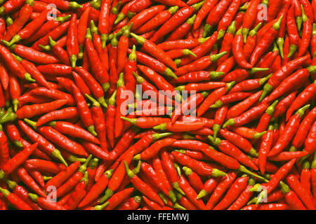 Bild für den Einsatz als Hintergrund voller roter Paprika. Stockfoto