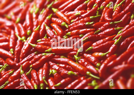 Bild von roter Paprika mit Schärfentiefe und Konzentration auf das Zentrum. Stockfoto