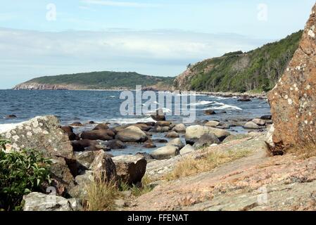 Felsen an der Ostsee bei Bornholm. Dänemark Stockfoto