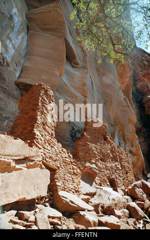 Palatki Erbe statt. Indianischen Ruinen Häuser der Sinagua Menschen einen Teil der Hopi Indianerstammes. Palatki ist Hopi für "Red House". Stockfoto