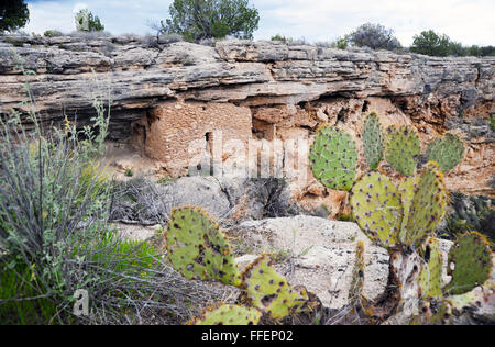 Montezuma gut Klippenwohnungen ist Heimat der Sinagua-Indianer, die eine Oase der natürlichen Kalkstein Doline mit Federn ist. Stockfoto