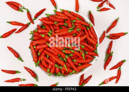 Rote Paprika in Schüssel auf weißem Hintergrund. Stockfoto