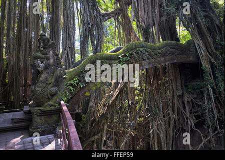 Steinerne Brücke, Heilige Monkey Forest, Ubud, Bali, Indonesien Stockfoto