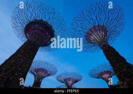 Gärten an der Bucht, bei Nacht, Singapur, Asien Stockfoto