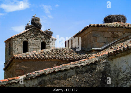 Weißstörche (Ciconia Ciconia) nisten am Dach der alten Kirche im Dorf, Spanien Stockfoto