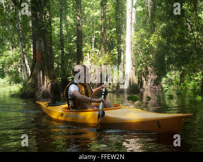 Kajakfahren durch Florida Everglades, USA Stockfoto