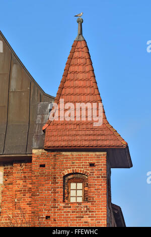 Turm der Kathedrale von Koenigsberg. Gotischen 14. Jahrhundert. Kaliningrad (Königsberg vor 1946), Russland Stockfoto