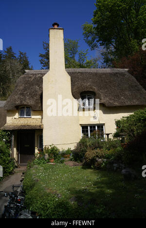 Einen Einblick in alte England, ein malerisches Reetdachhaus mit Rasen, die vorderen Fenster aus Holz und Glas Stockfoto