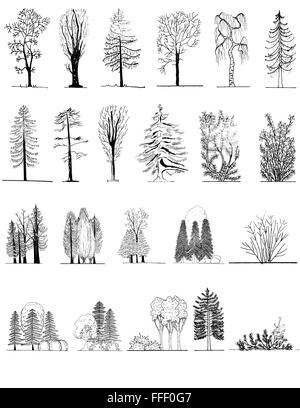 A Baum Silhouetten für architektonische gesetzt oder Landschaftsgestaltung, schwarz / weiß Stock Vektor