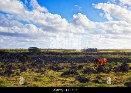 Pferd und Ahu Tongariki, Osterinsel, Rapa Nui Stockfoto