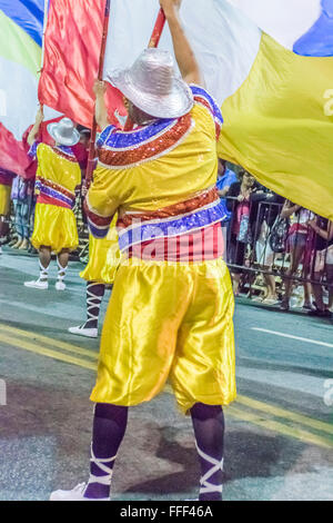 MONTEVIDEO, URUGUAY, kostümierten Januar - 2016 - Mann marschieren und die eine Flagge auf der konstituierenden Parade der Karneval von Montevide Stockfoto