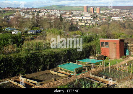 Hagg Lane Kleingärten in Sheffield, South Yorkshire, Blick auf die Stadt ländlichen Franse, England UK Stockfoto