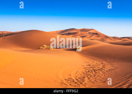 Sanddünen des Erg Chebbi in der Sahara Wüste, Marokko Stockfoto