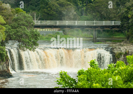 Haruru Falls, Waitangi, Bay of Islands, Neuseeland Stockfoto