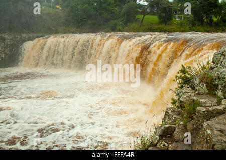 Haruru Falls, Waitangi, Bay of Islands, Neuseeland Stockfoto