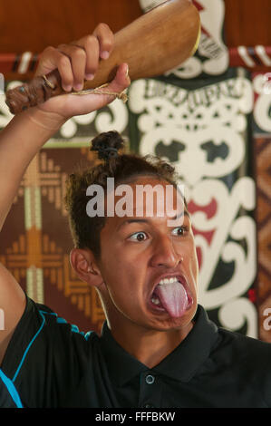 Maori Haka, Pakowhai Marae, Gisborne, Neuseeland Stockfoto