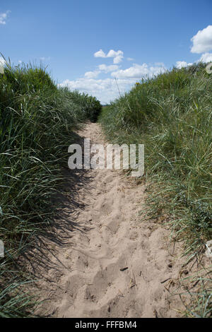Fuß bis Trail eine Sanddüne an Mablethorpe Strand, Lincolnshire, England, Großbritannien Stockfoto