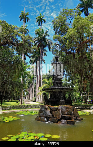 In den Botanischen Garten von Rio De Janeiro, Brasilien Stockfoto